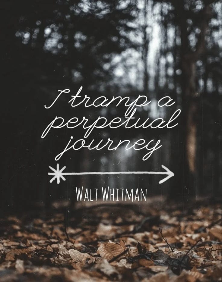 1608075633 Walt Whitman.png